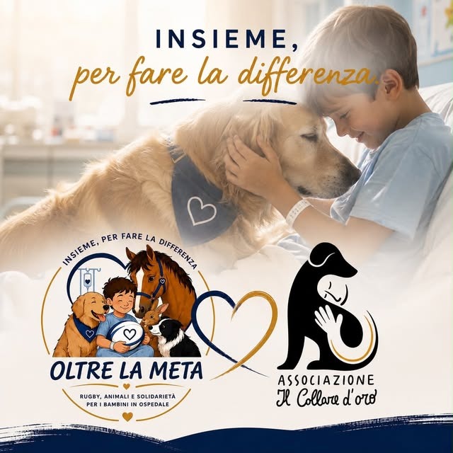 Insieme a Collare d’Oro